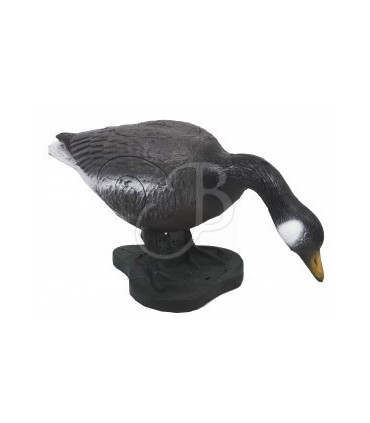3D OIE BUVANT