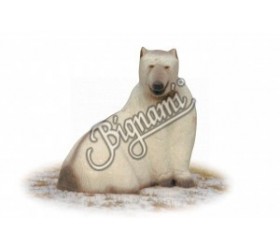 Cible 3D AA Ours Blanc Assis