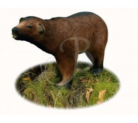 Cible 3D AA Ours Brun
