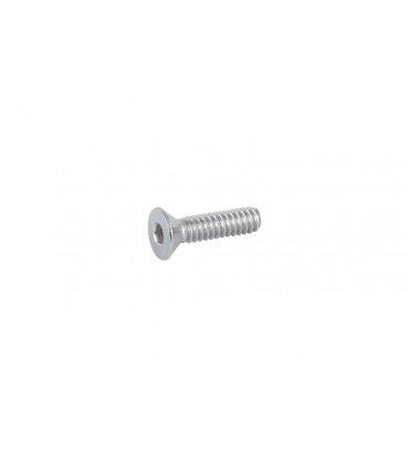 Vis pour Fixation Platine Viseur (la paire)