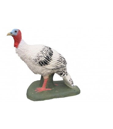 copy of 3D DINDON