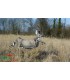 Cible 3D NATURFOAM Biche qui court