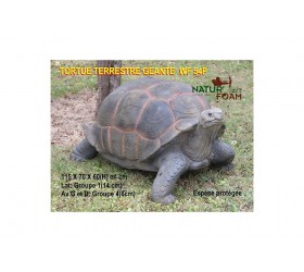 Cible 3D NATURFOAM Tortue Géante