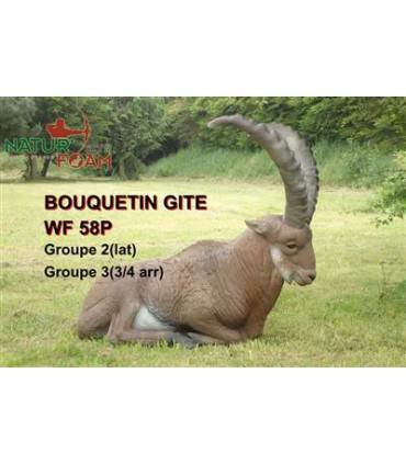 copy of 3D MODEL PACK CHASSE,SANGLIER AU PAS