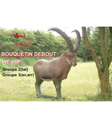 Cible 3D NATURFOAM Bouquetin