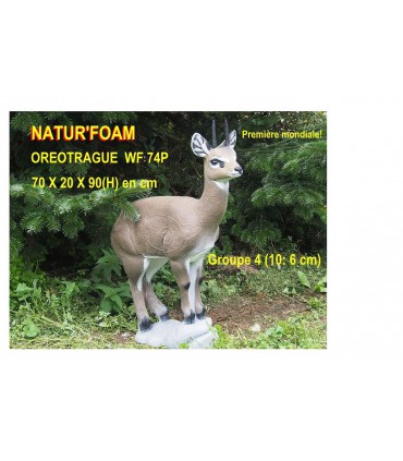 copy of 3D MODEL PACK CHASSE,SANGLIER AU PAS