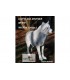 copy of 3D LOUP - DEBOUT
