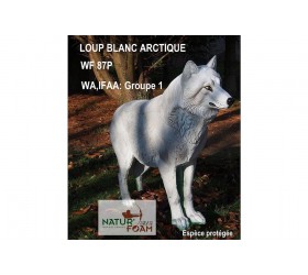 Cible 3D NATURFOAM Loup Polaire