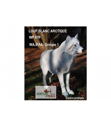 copy of 3D LOUP - DEBOUT