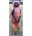 Cible 3D AA Ours Debout