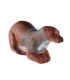 Cible 3D ELEVEN Loutre