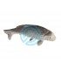 copy of 3D GUEPARD A LA COURSE