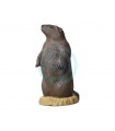 Cible 3D RINEHART Marmote