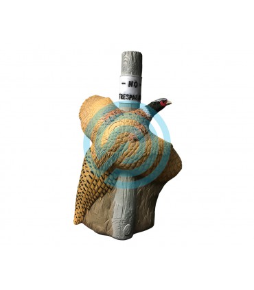 Cible 3D RINEHART Faisan
