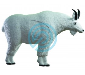 copy of 3D MOUFLON SUR PATTE ARRIERE