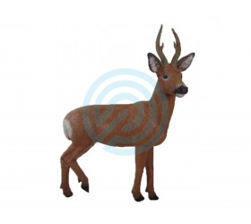 copy of 3D RED FOX
