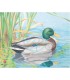 blason JVD animalier Canard
