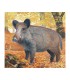 Blason JVD animalier Sanglier