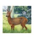 Blason JVD animalier Biche