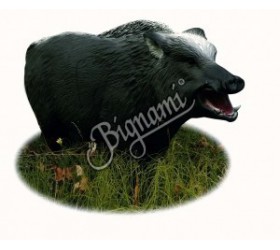 3D SANGLIER RUSSE
