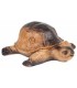 3D TORTUE