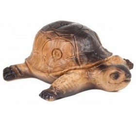Cible 3D AA Tortue