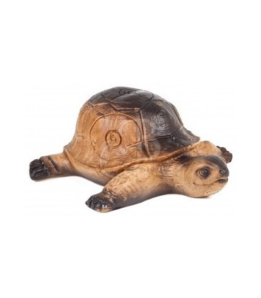 3D TORTUE