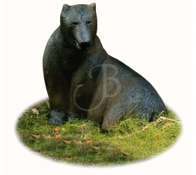 copy of 3D RENARD