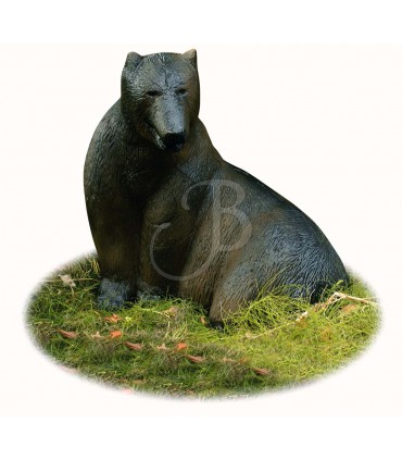 Cible 3D AA Ours Brun Assis