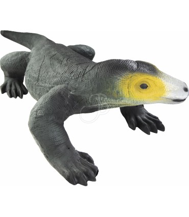 copy of 3D RENARD