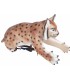 Cible 3D CENTER POINT Lynx Grimpant