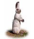 3D LIEVRE BLANC