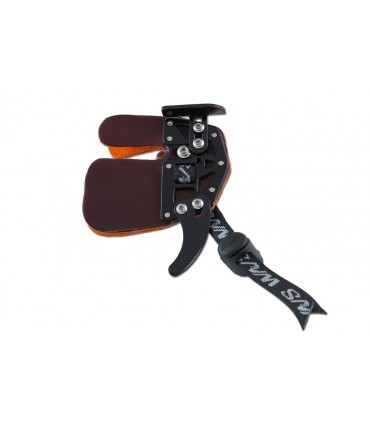 Palette WNS Olympic Cordovan