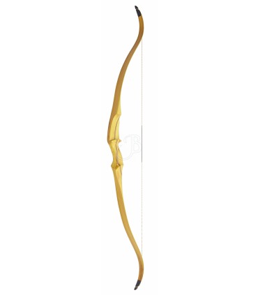 Arc BIG TRADITION Op Lit .Bighorn sage  60"