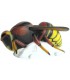 Cible 3D SRT Frelon