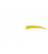 Plume BUCK TRAIL ou équivalent  5'' Shield