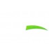 Plume BUCK TRAIL ou équivalent  5'' Shield
