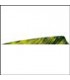 Plume BUCK TRAIL ou équivalent  4'' Camo Shield