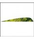 copy of plume Naturelle 4'' Camo