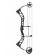 PSE EVOLVE 31 2018