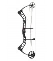 Arc PSE Stinger ATK SS