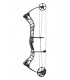 Arc PSE Stinger ATK SS