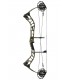 PSE EVOLVE 31 2018