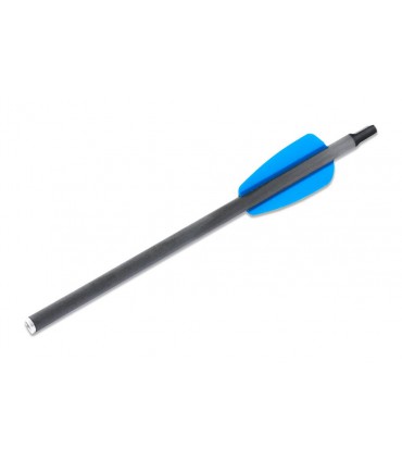 copy of Carreau pour pistolet par 10