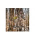 copy of TREESTAND