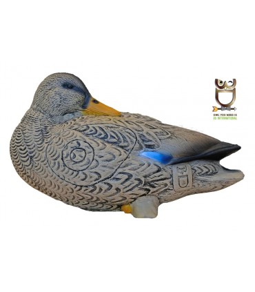 Cible 3D 3 DI  Canard