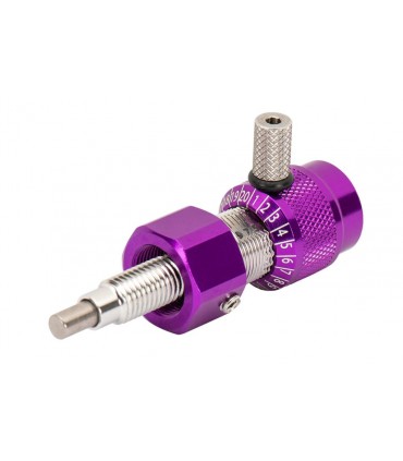 Berger Buton WIFLER MP-One