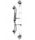 Arc PSE Dominator Duo 40 M2