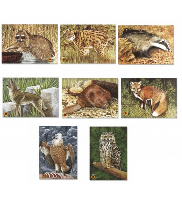 Blason KRUGER animalier Lynx
