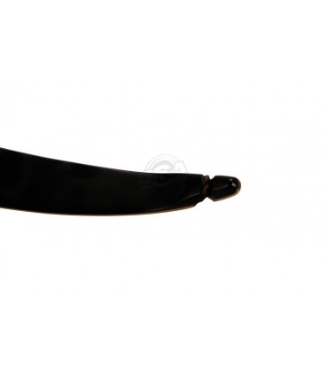 Arc SAMICK Sage 60''